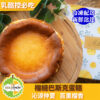 榴槤巴斯克蛋糕 (蛋奶素)
